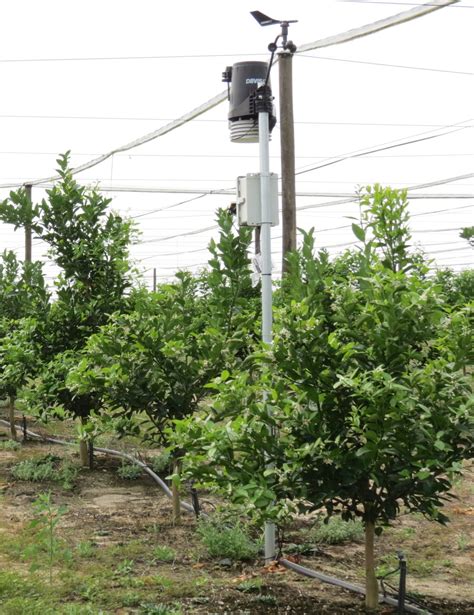 moisture meter for citrus trees|soil sensors for citrus groves.